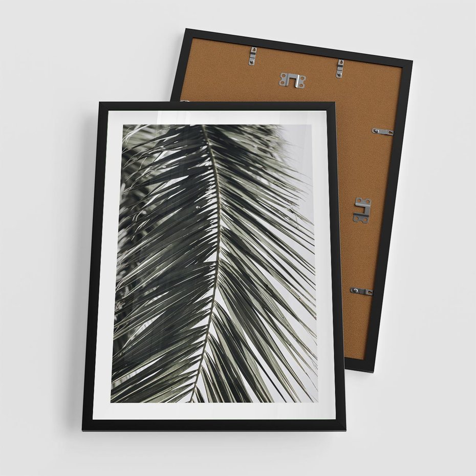 Plakat w ramie 50x70 - Liść Palmy: Egzotyczny Detal Natury - palma, liść palmy - rama czarna