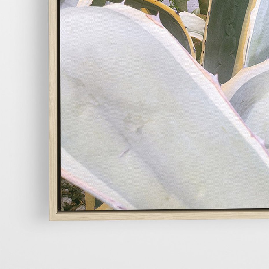 Obraz w ramie 50x70 - Sukulentowe liście - liście, sukulenty - rama drewno