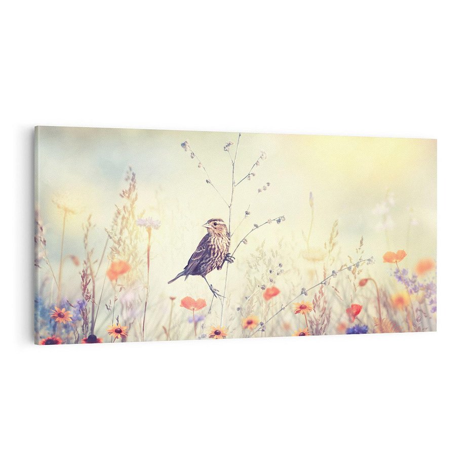 Obraz na płótnie 100x50 - Poranek wśród łąki - ptak, łąka