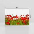 Obraz na płótnie 70x50 - Bujne maki na malowniczej łące - mak, maki