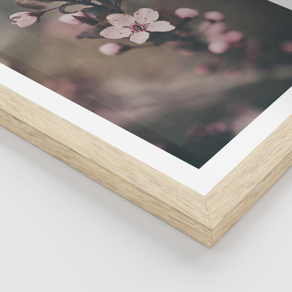 Plakat w ramie 30x40 - Przemijający Urok - kwitnąca, wiśnia - rama drewno