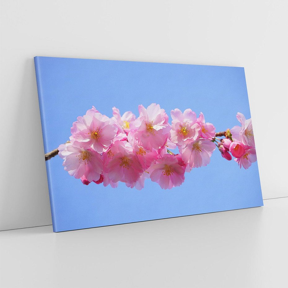 Obraz na płótnie 100x70 - Kwiatowy taniec kolorów - kwiat, kwiaty