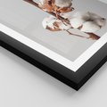Plakat w ramie 30x40 - Spokojna Gałązka Bawełny - gałązka bawełny, prosta spokojna fotografia - rama czarna