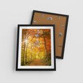 Plakat w ramie 40x50 - Złote barwy jesiennego lasu - las, jesień - rama czarna