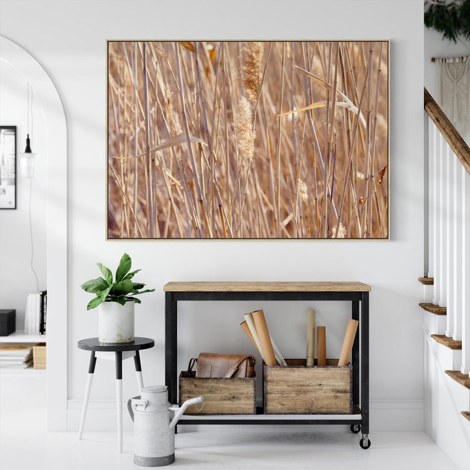 Obraz w ramie 70x50 - Mistrzowskie suche trawy - suche, trawy - rama drewno