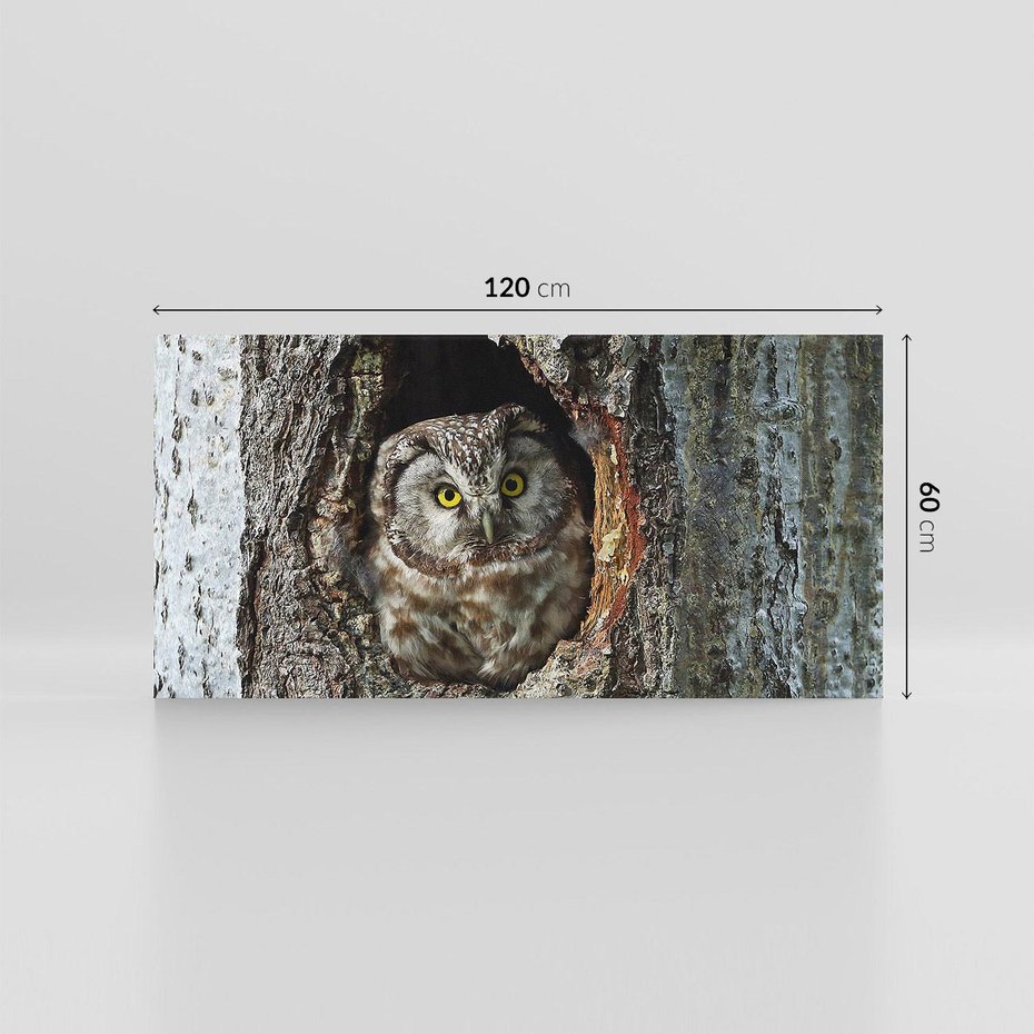 Obraz na płótnie 120x60 - Tajemniczy W świecie Nocy - sowa, dziupla