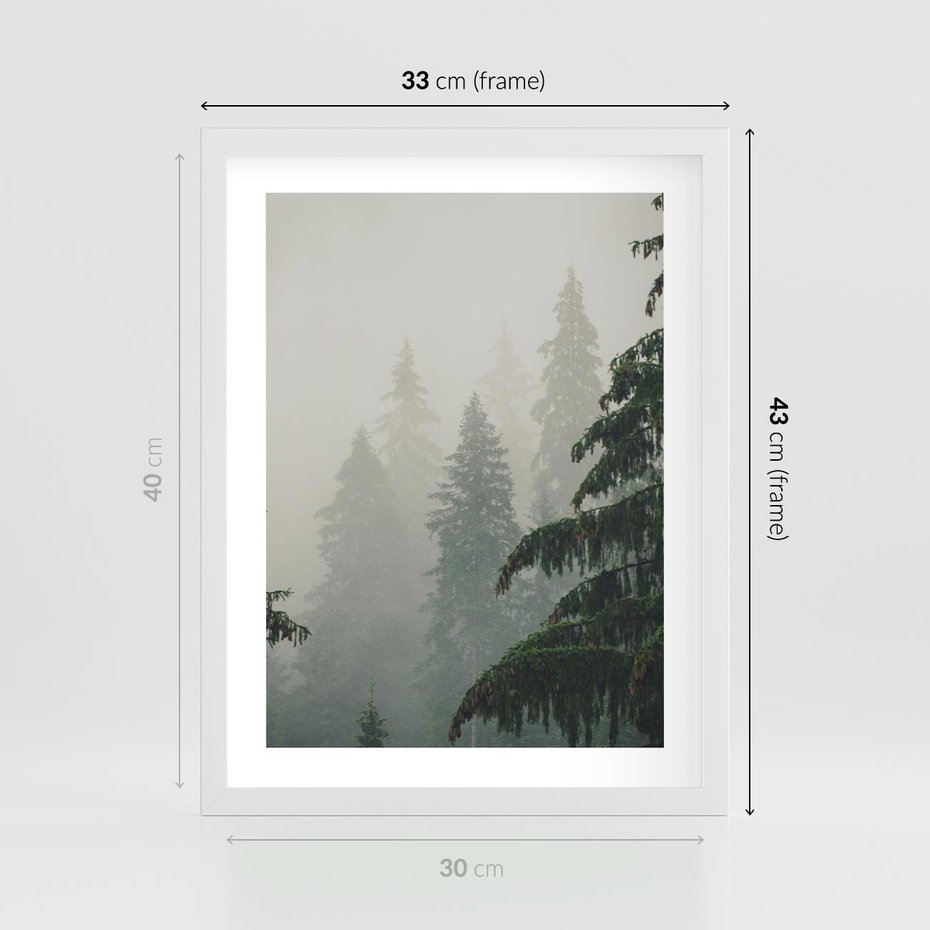 Plakat w ramie 30x40 - Mglista przemiana lasu - las, mgła - rama biała