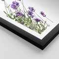 Plakat w ramie 50x70 - Delikatny Urok - lawenda, kwiaty - rama czarna