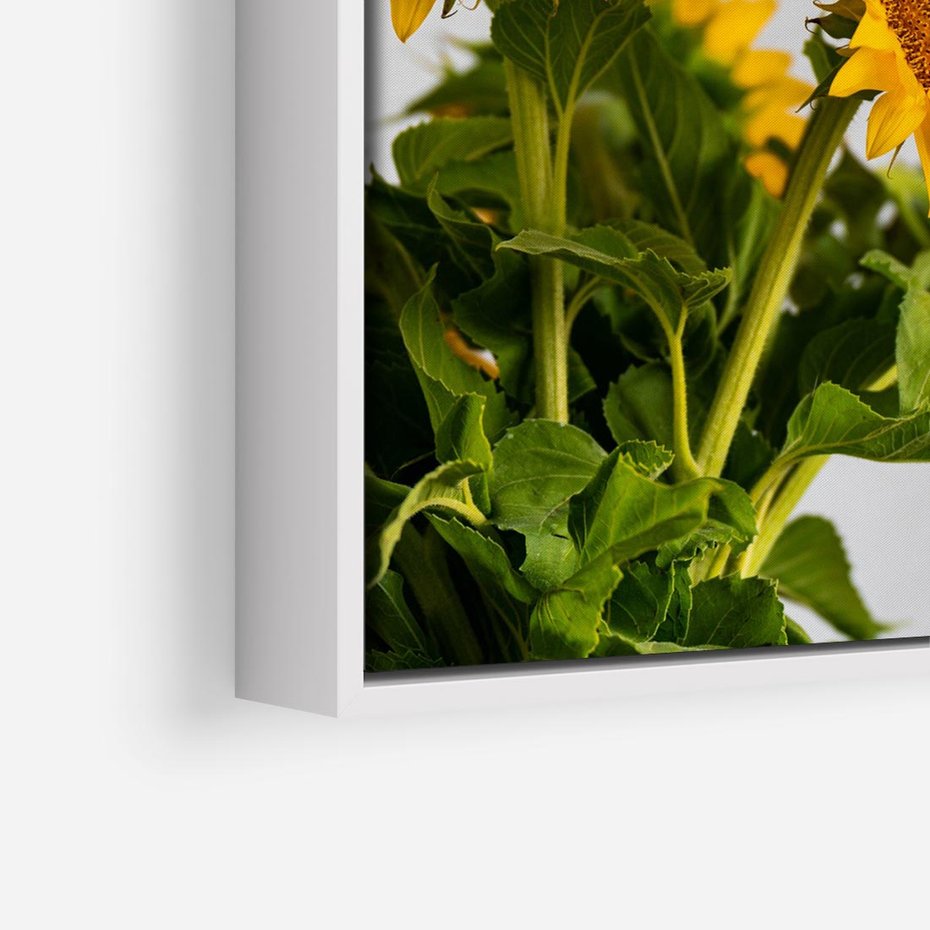 Obraz w ramie 80x80 - Słoneczna Radość - fotografia, żółte słoneczniki - rama biała