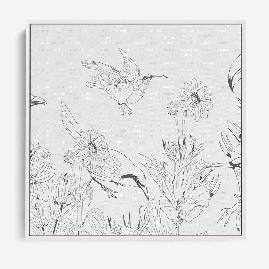 Obraz w ramie 80x80 - Tropiki w Monochromie - czarno biały szkic, tropikalne ptaki - rama biała