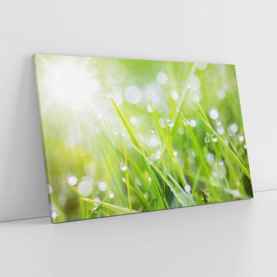 Obraz na płótnie 120x80 - Delikatna trawa pokryta rosą - trawa, rosa