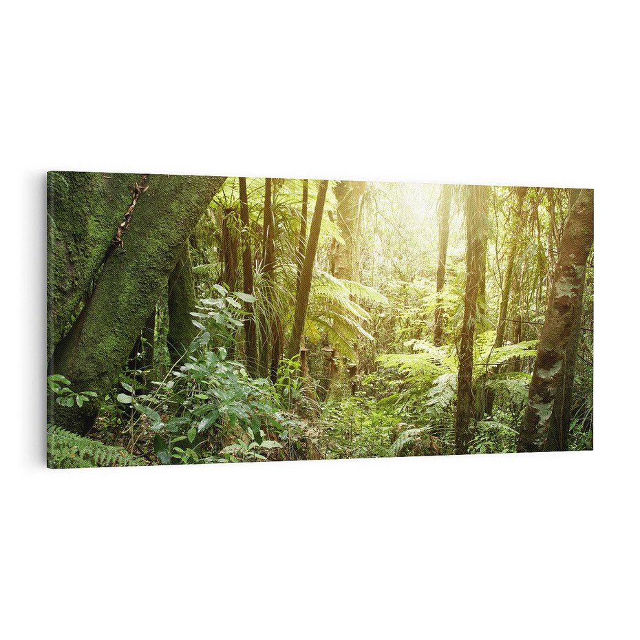 Obraz na płótnie 100x50 - Uroczysty Las Drzew - las, drzewa