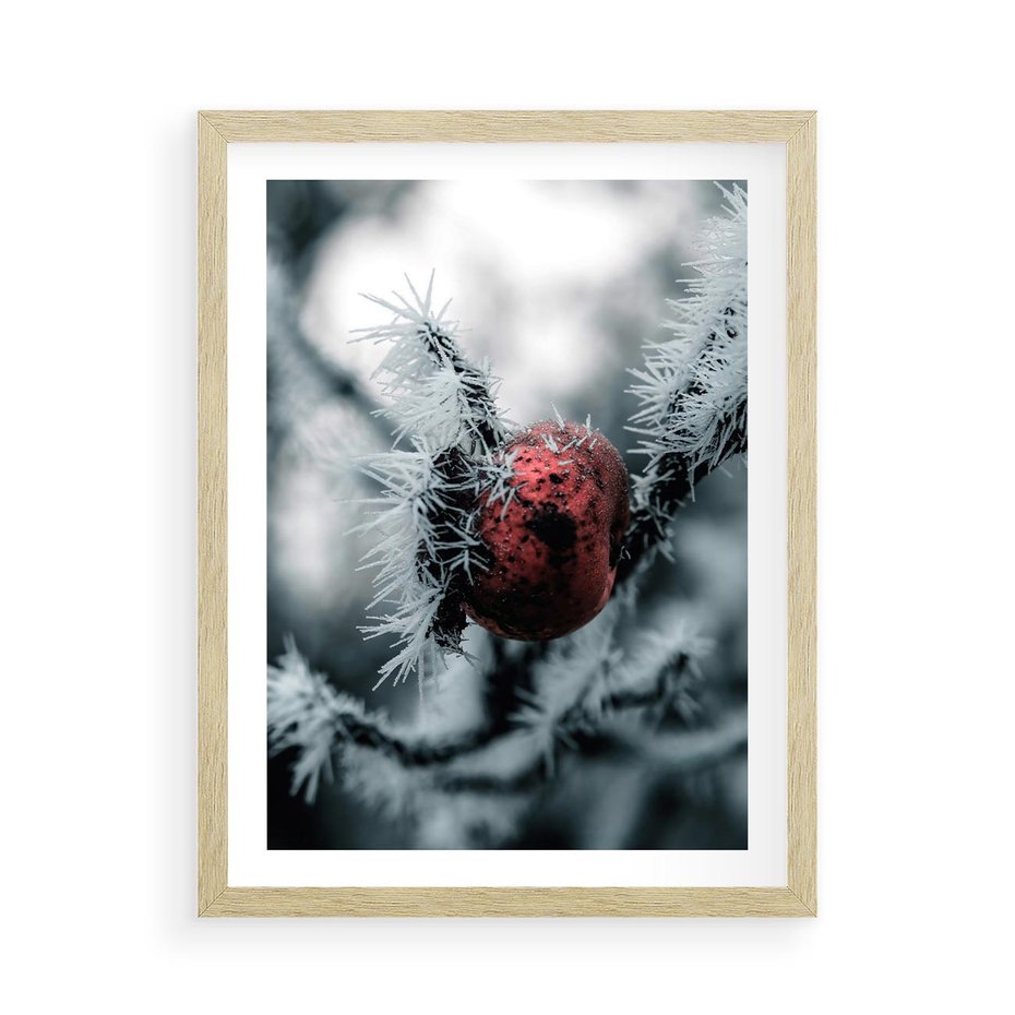 Plakat w ramie 50x70 - Chwila Zimowego Uroku - zima, ośnieżona gałązka - rama drewno