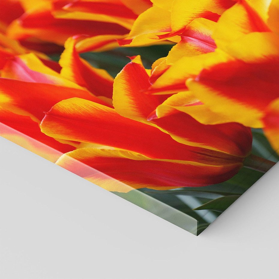 Obraz na płótnie 100x70 - Kwiatowa natura - kwiat, kwiaty