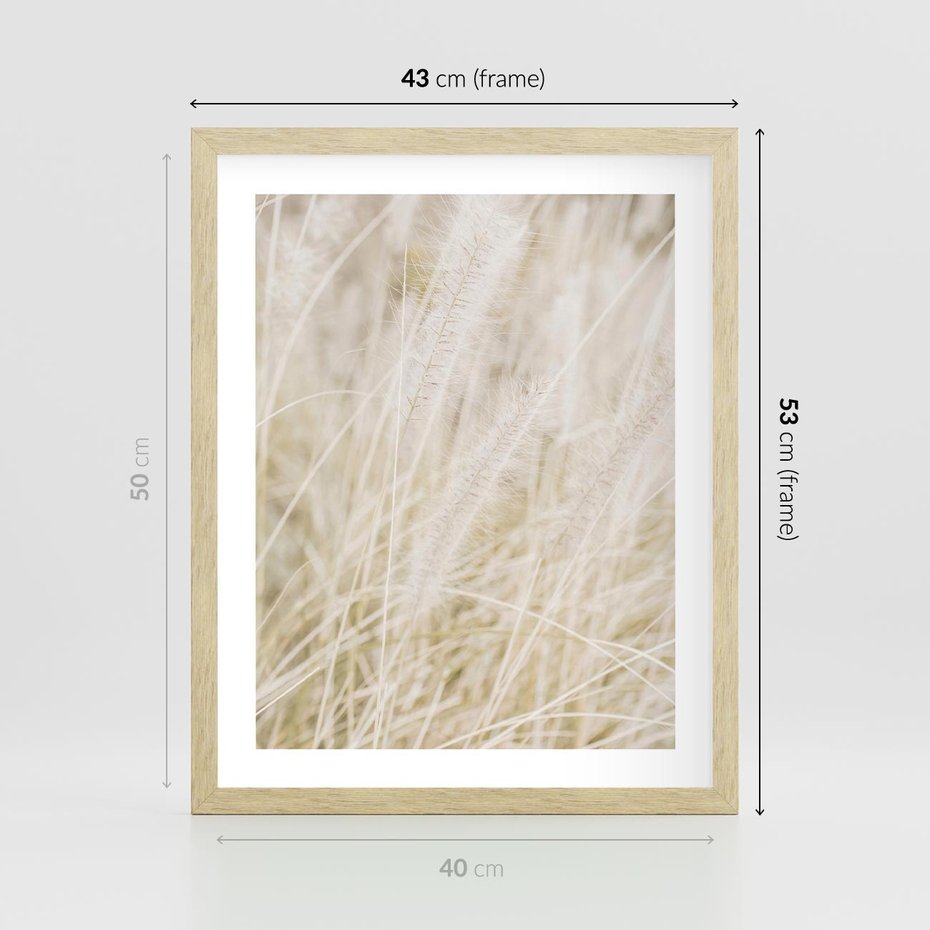Plakat w ramie 40x50 - Białe Trawy Pampas - suche trawy, białe trawy - rama drewno