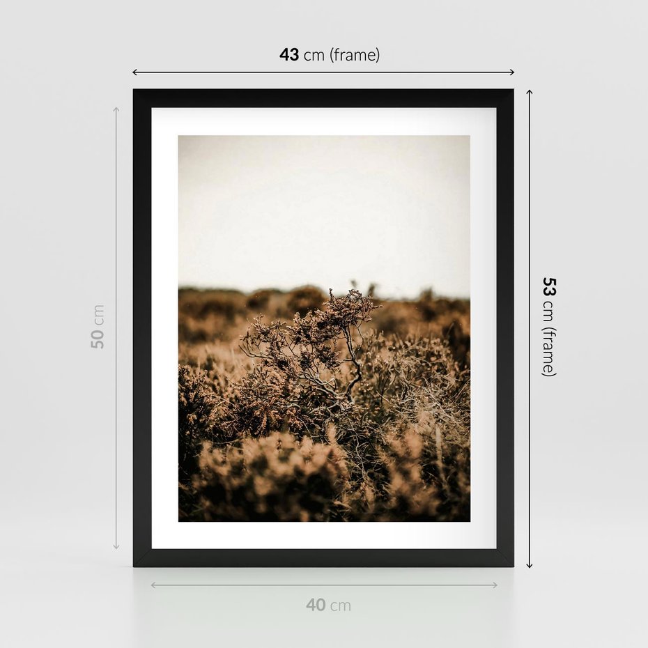 Plakat w ramie 40x50 - Krajobraz W Naturze: Beże i Brązy - suche krzewy, natura - rama czarna