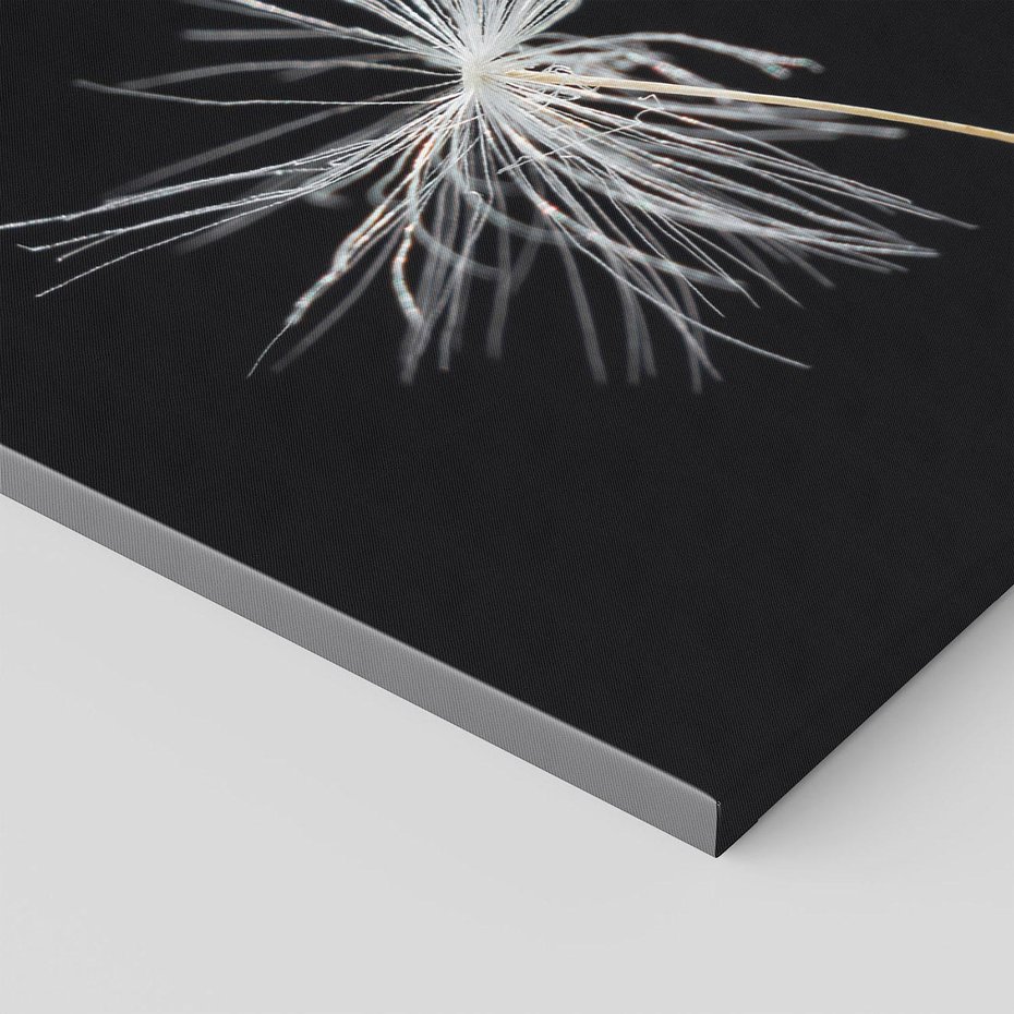 Obraz na płótnie 120x80 - Delikatność Wiatru - dmuchawce, makro