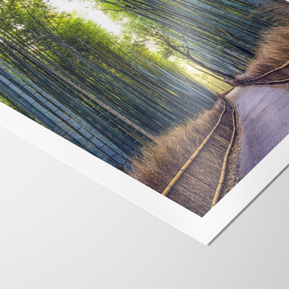 Plakat bez ramy 50x70 - Urokliwa dróżka w lesie - las, dróżka