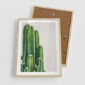 Plakat w ramie 50x70 - Minimalistyczne Kaktusy na Białym Tle - kaktusy, minimalistyczna fotografia - rama drewno