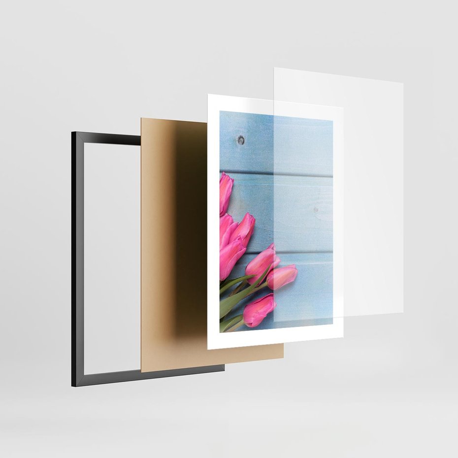 Plakat w ramie 30x40 - Piękno w pełnym rozkwicie - kwiaty, tulipany - rama czarna