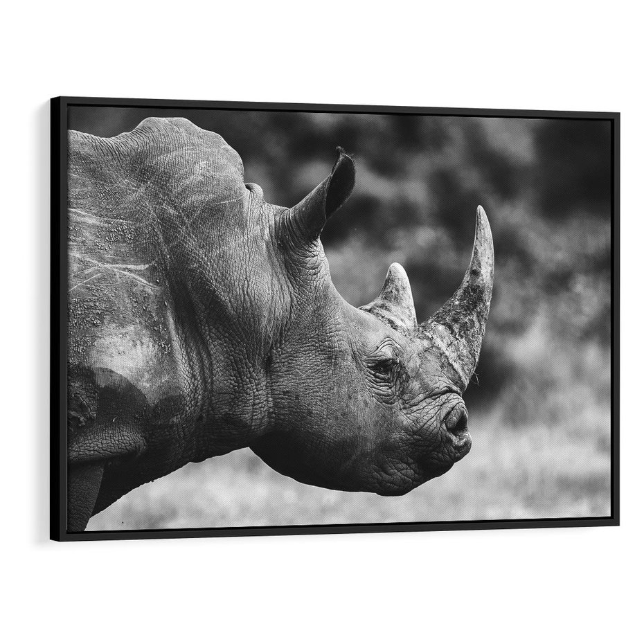 Obraz w ramie 100x70 - Potęga Afryki - czarno biała fotografia, zbliżenie na postać nosorożca - rama czarna