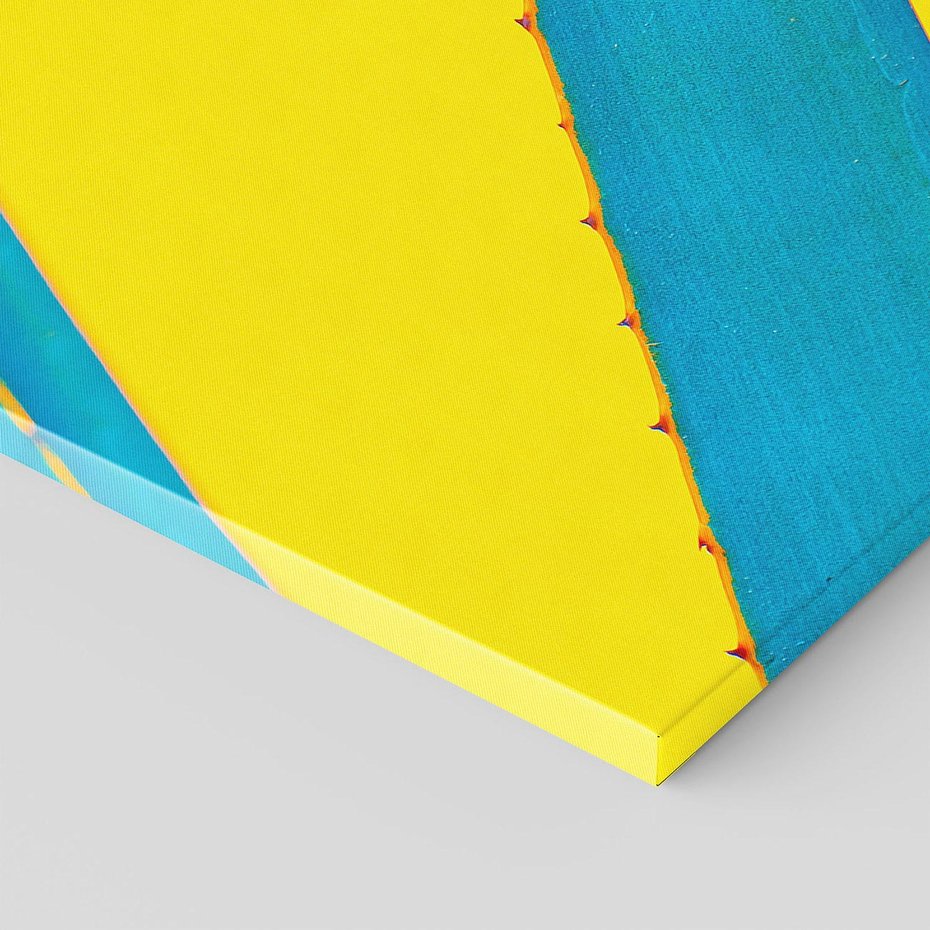 Obraz na płótnie 70x50 - Świeżość Natury - aloes, liście