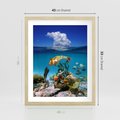 Plakat w ramie 40x50 - Podwodna rafa koralowa: kolorowy oceanowy świat - rafa, koralowa - rama drewno
