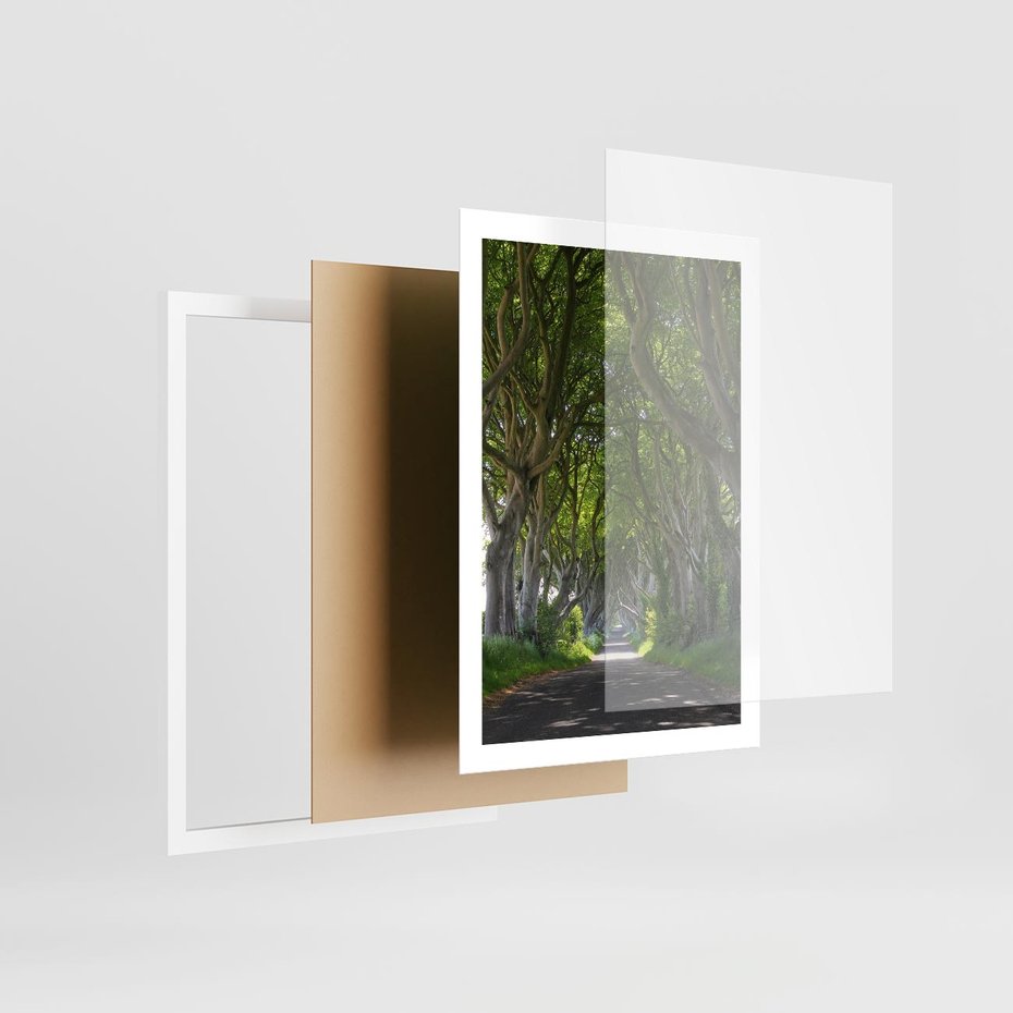 Plakat w ramie 50x70 - Magiczny Las - drzewa, las - rama biała