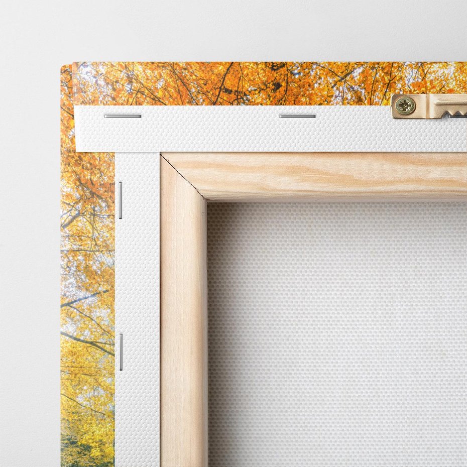 Obraz na płótnie 150x50 - Jesień w Lesie: Urok Lasu - jesień, las