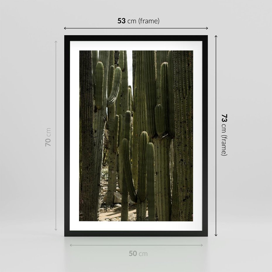 Plakat w ramie 50x70 - Wyjątkowy Klimat Boho - kaktusy, pustynia - rama czarna