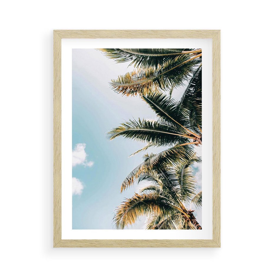 Plakat w ramie 50x70 - Pod Błękitnym Niebem - palmy, ujęcie z dołu - rama drewno