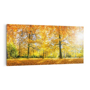 Obraz na płótnie 120x60 - Jesień w Lesie: Urok Lasu - jesień, las