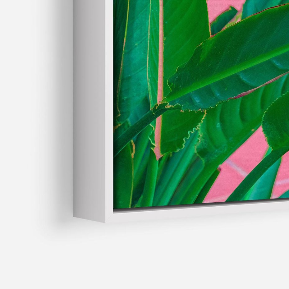 Obraz w ramie 50x50 - Odezwij się do przeszłości - liście, retro - rama biała