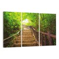 Obraz na płótnie 120x80 - Magiczne schody w lesie - schody, las