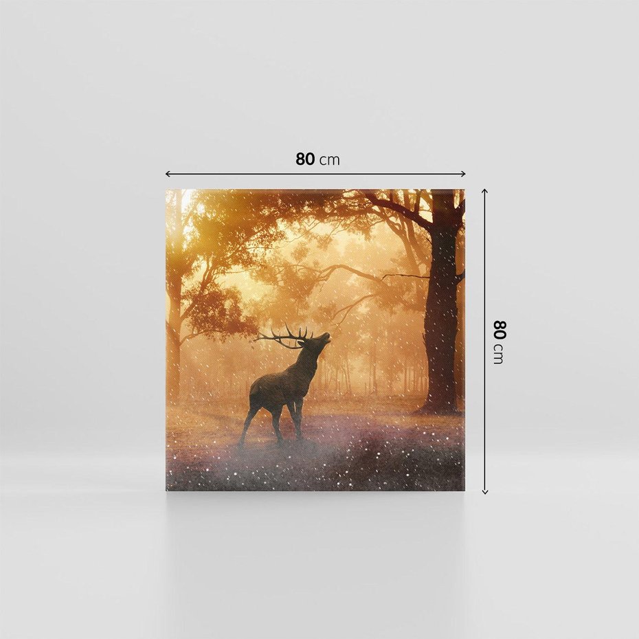 Obraz na płótnie 80x80 - Spotkanie jelena w lesie - jeleń, las