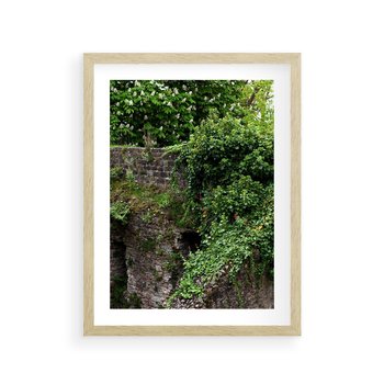 Plakat w ramie 30x40 - Żywiołowa Zieleń - mur, liście - rama drewno