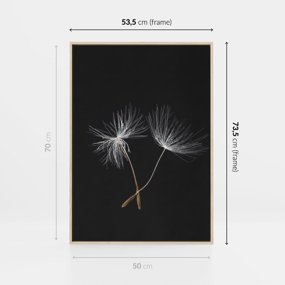 Obraz w ramie 50x70 - Delikatność Wiatru - dmuchawce, makro - rama drewno