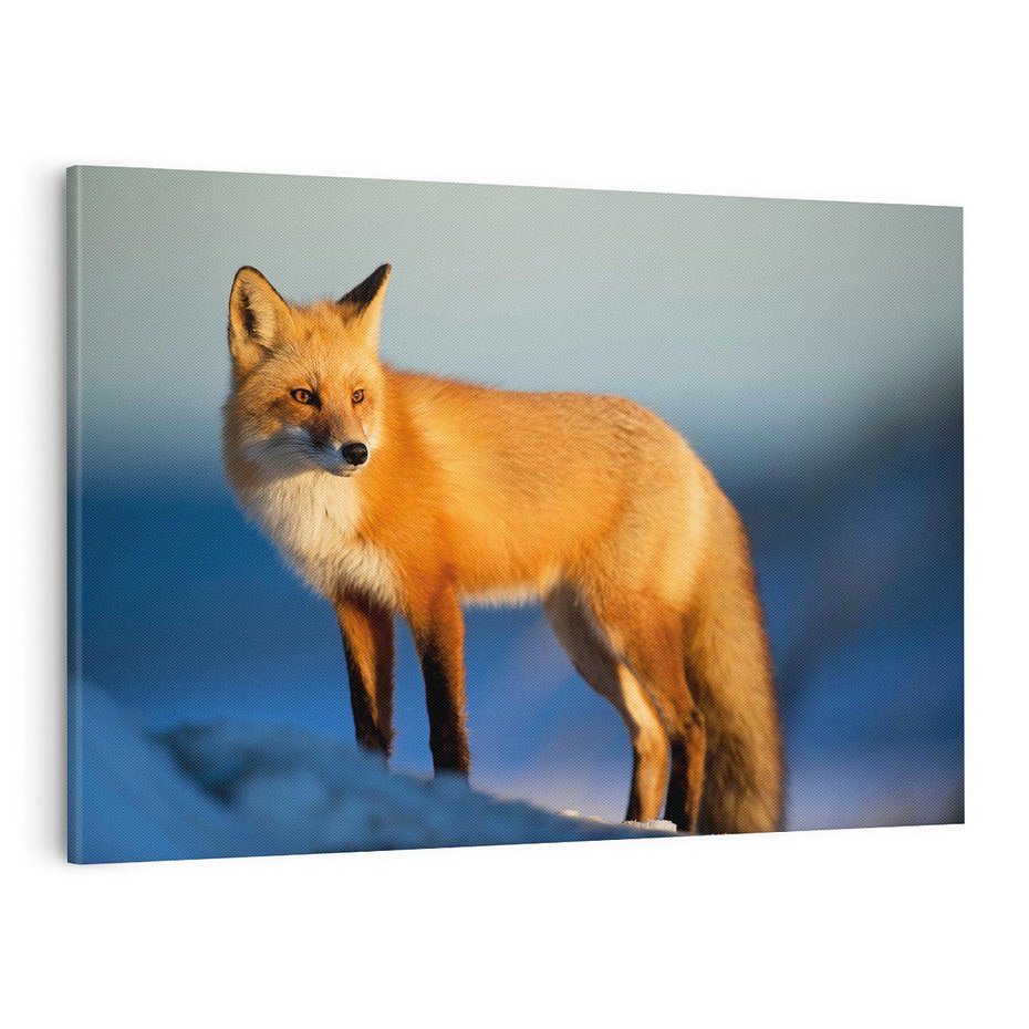 Obraz na płótnie 120x80 - Lisek w lesie - lis, lisek