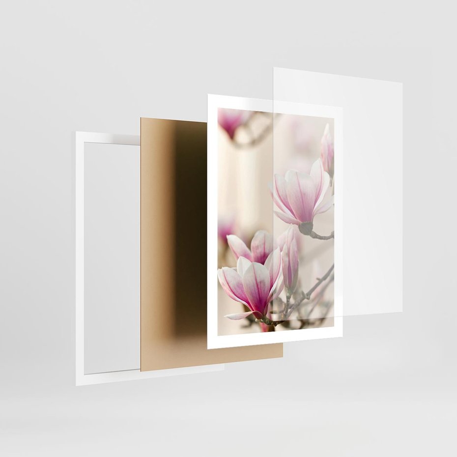 Plakat w ramie 50x70 - Urok Magnolii - magnolie, kwiaty - rama biała