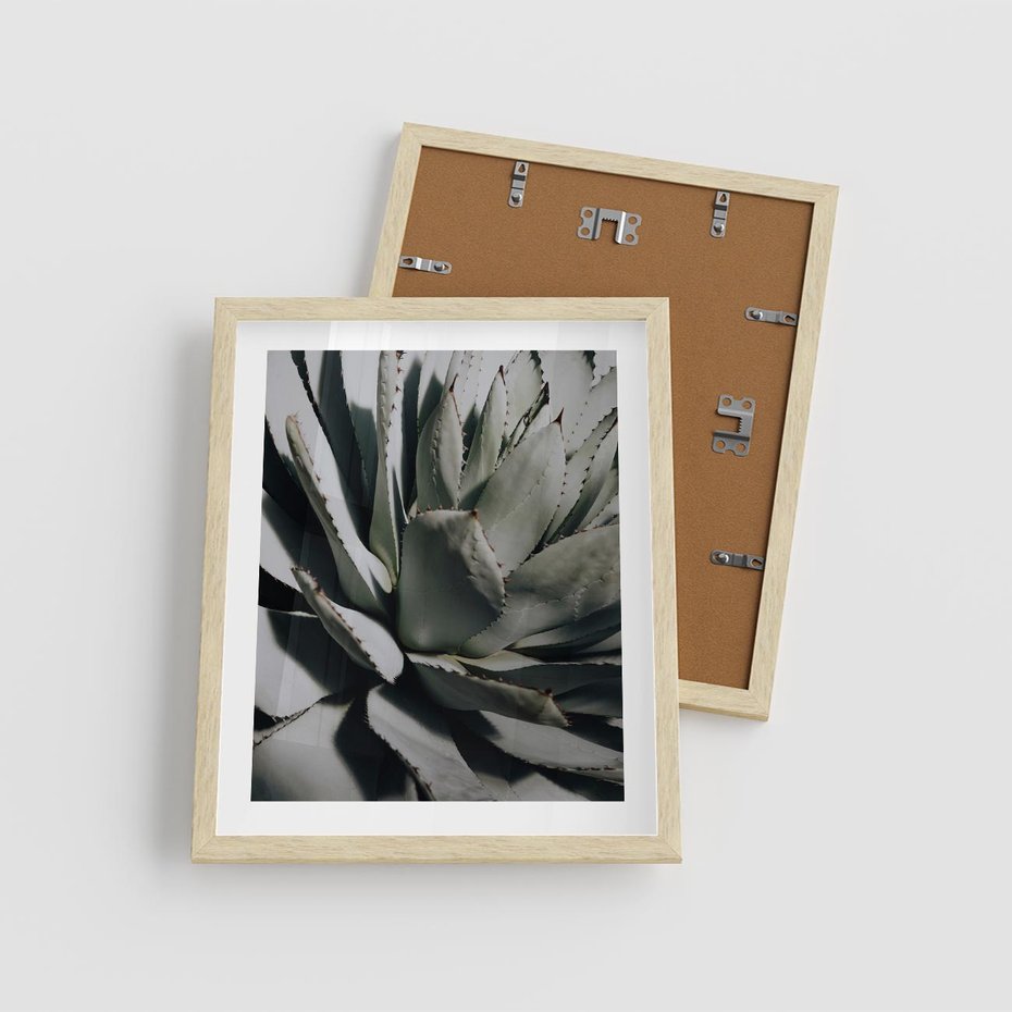 Plakat w ramie 40x50 - Sukulenty wśród kaktusów - sukulenty, kaktusy - rama drewno