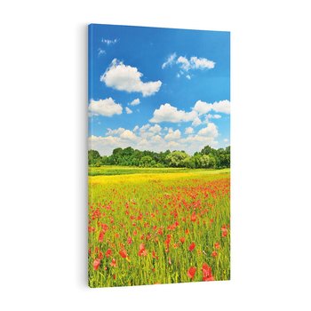 Obraz na płótnie 50x70 - Malownicze maki na łące - maki, łąka