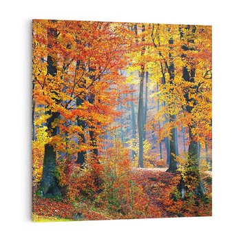 Obraz na płótnie 50x50 - Jesienny taniec lasu - jesień, las