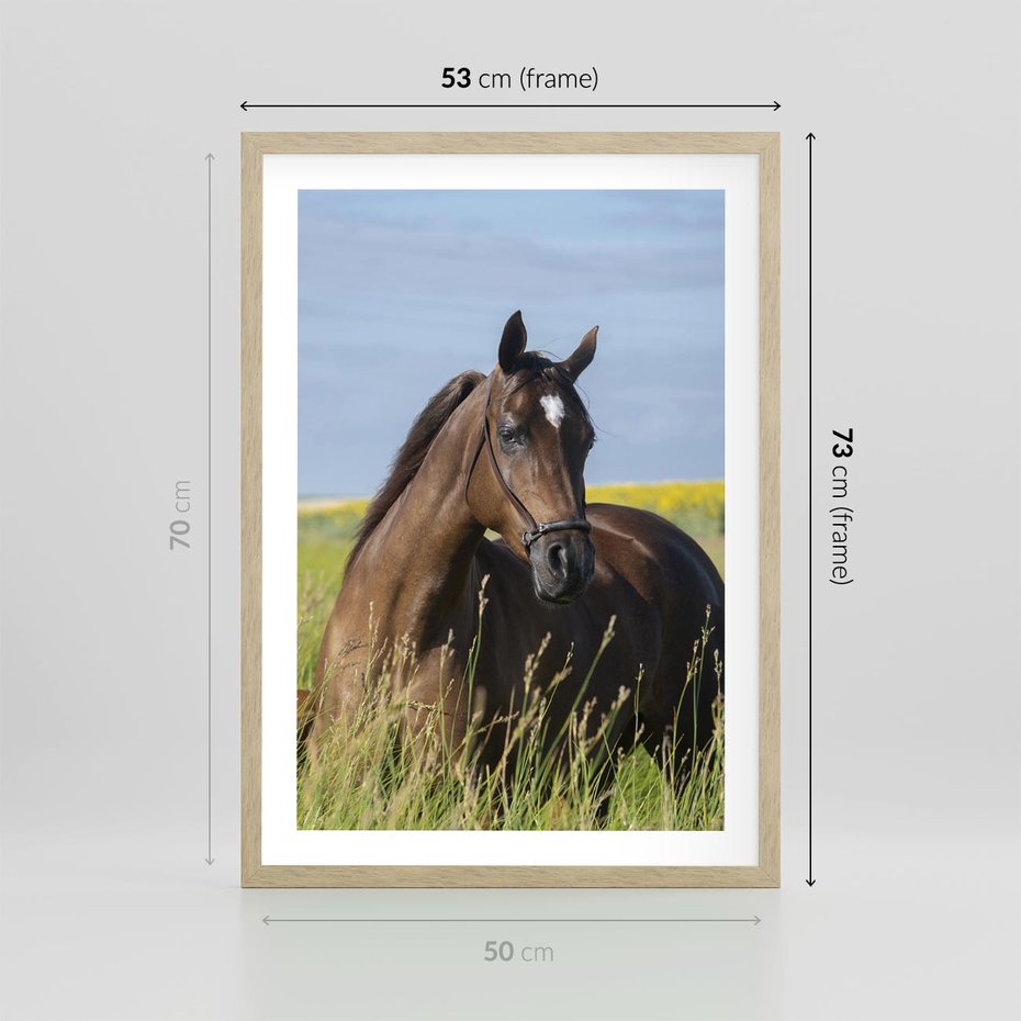 Plakat w ramie 50x70 - Siła i piękno natury - koń, łąka - rama drewno