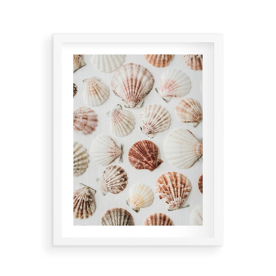 Plakat w ramie 40x50 - Morska Delikatność: Muszelki na Białym Tle - kompozycja, morskie muszelki na białym tle - rama biała
