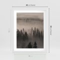 Plakat w ramie 40x50 - Mglista Opowieść Lasu - las, mgła - rama biała