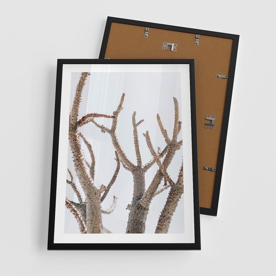 Plakat w ramie 50x70 - Pustynna Harmonia Gałęzi - pustynna roślina, suche gałęzie - rama czarna