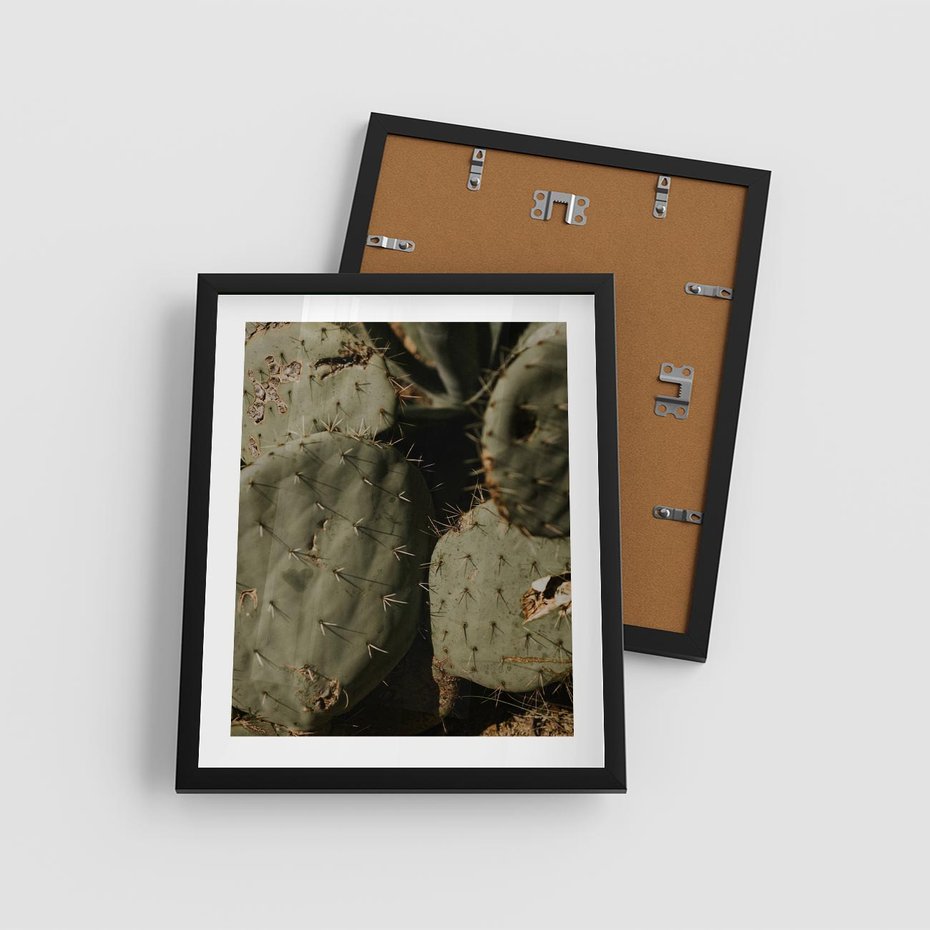 Plakat w ramie 40x50 - Urok Egzotyki - kaktusy, boho - rama czarna