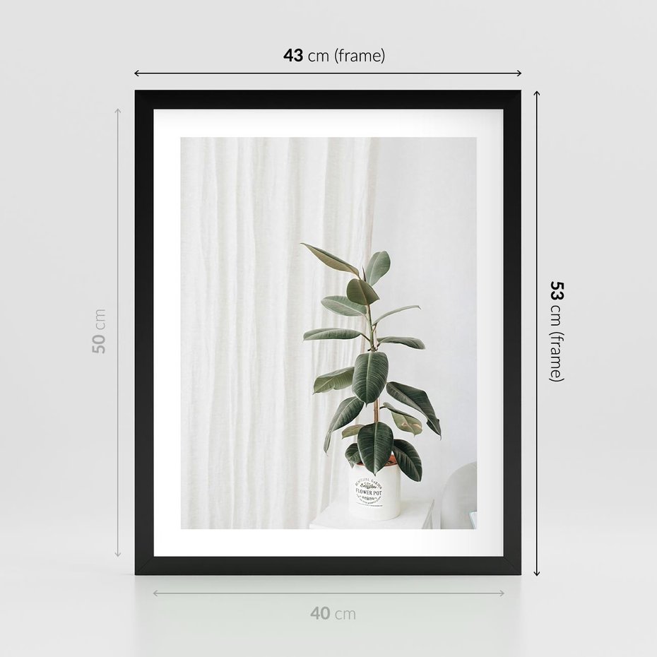 Plakat w ramie 40x50 - Kwiat w Bieli - kwiat w doniczce, białe wnętrze - rama czarna