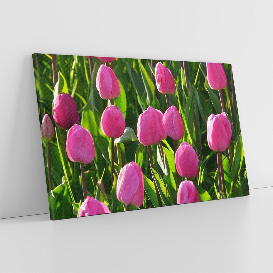 Obraz na płótnie 100x70 - Tulipanowa harmonia - tulipany, kwiaty