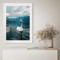 Plakat bez ramy 21x30 - Łabędzi Śpiew - fotografia, plakat